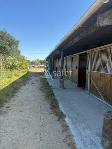 Proprietà equestre In vendita Loire-Atlantique