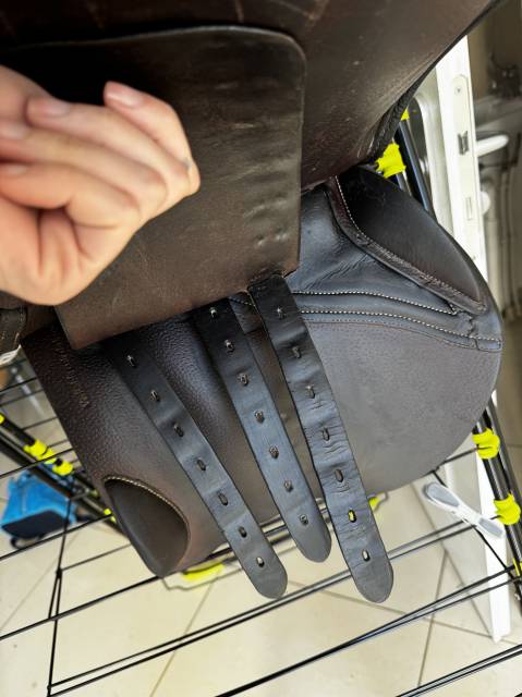 Sella mista Forestier  17" - 2018