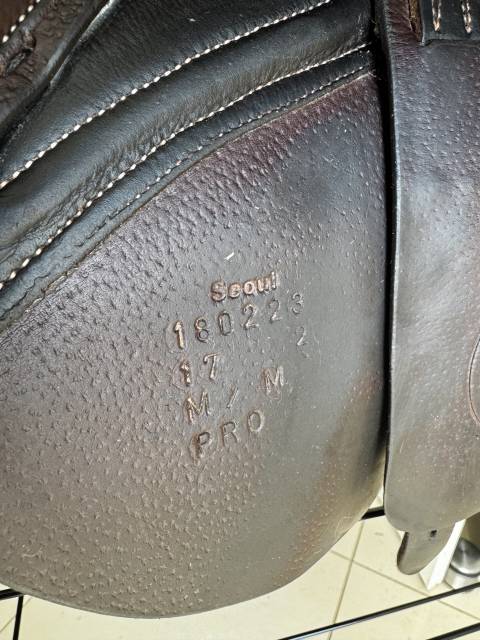 Sella mista Forestier  17" - 2018