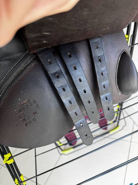 Sella mista Forestier  17" - 2018