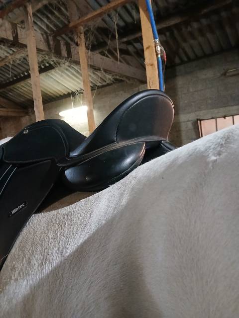 Sella mista Wintec  16.5" - 2018