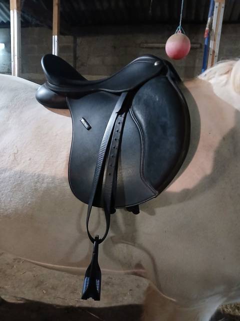 Sella mista Wintec  16.5" - 2018