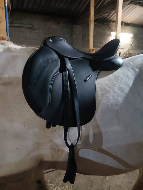 Sella mista Wintec  16.5" - 2018