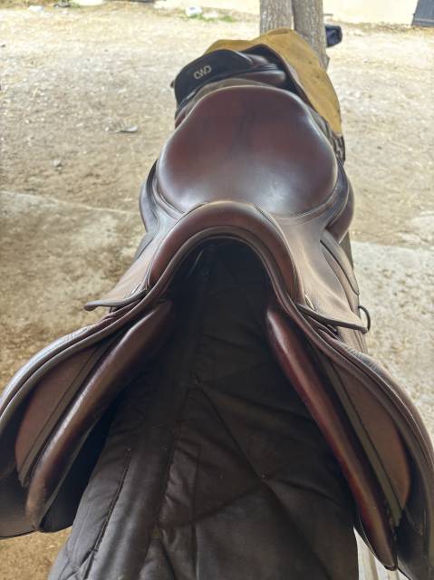 Sella da salto ostacoli CWD  17.5" - 2019