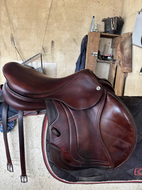 Sella da salto ostacoli CWD  17.5" - 2019