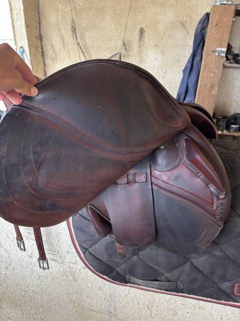 Sella da salto ostacoli CWD  17.5" - 2019