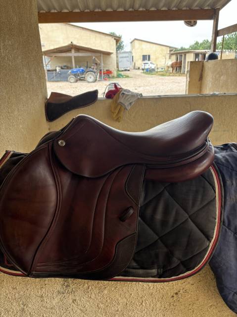 Sella da salto ostacoli CWD  17.5" - 2019