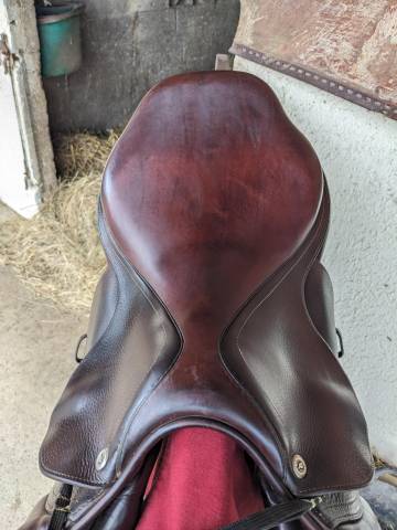 Sella da salto ostacoli CWD  17.5" - 2015