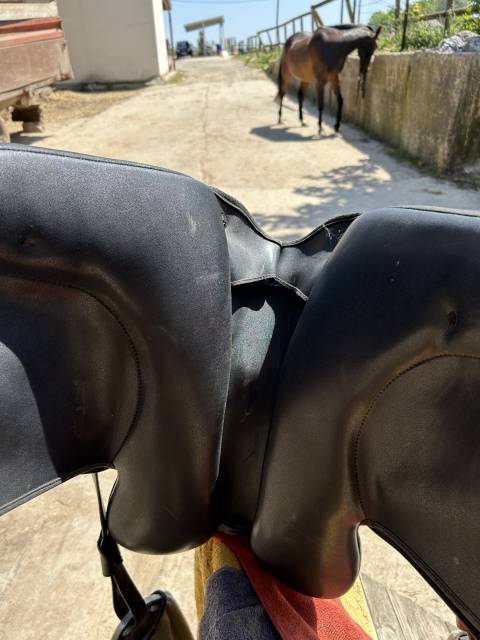 Sella da dressage Wintec  17" - 2020