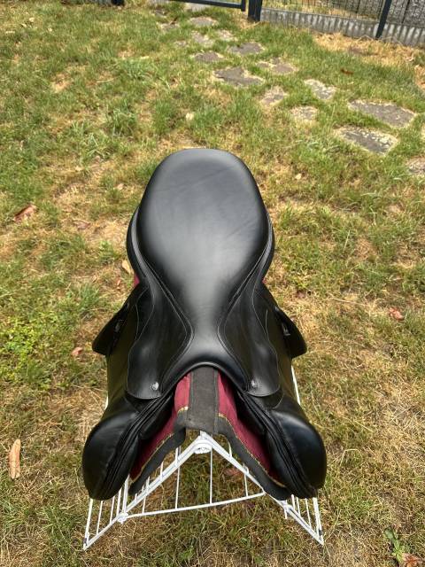 Sella da cross Arion Selle Arion C2 17.5” – 2024 17.5" - 2024