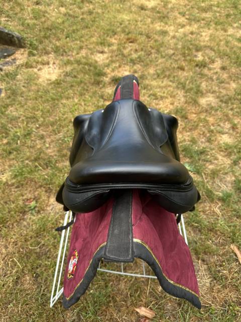 Sella da cross Arion Selle Arion C2 17.5” – 2024 17.5" - 2024