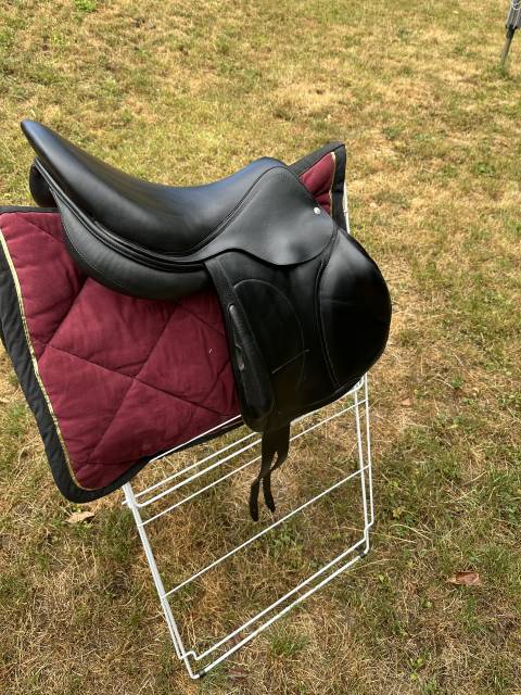 Sella da cross Arion Selle Arion C2 17.5” – 2024 17.5" - 2024