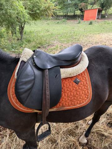 Sella da salto ostacoli Forestier Pierre Durand  17" - 1995