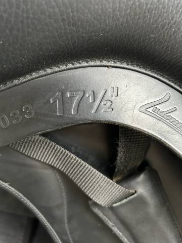 Sella da dressage Ludomar  17.5" - 2020