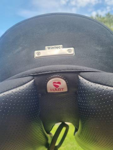 Sella da dressage Wintec  17.5" - 2022