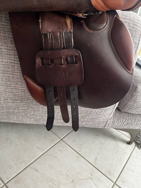 Sella da salto ostacoli  Nortier breteuil saddlery  17" - 2010
