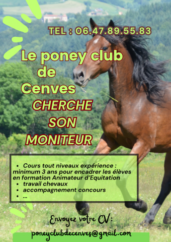 Istruttore di equitazione - CDI Tempo pieno - Rhône Francia