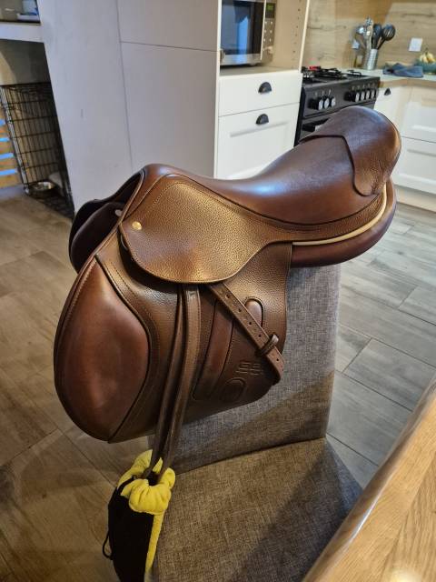 Sella da salto ostacoli GBS  16.5" - 2018