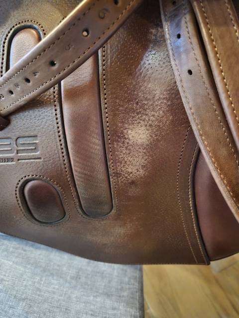 Sella da salto ostacoli GBS  16.5" - 2018