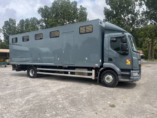 Camion per Cavalli Daf daf lf 2015 Occasione