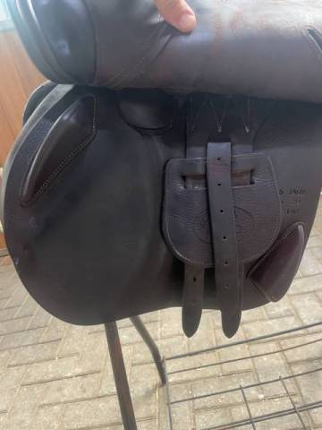 Sella da salto ostacoli Jump in  17.5" - 2021