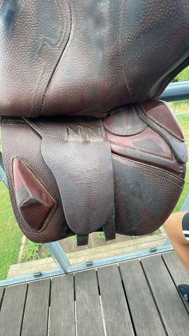 Sella da salto ostacoli CWD  16.5" - 2021