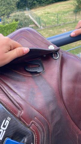 Sella da salto ostacoli CWD  16.5" - 2021