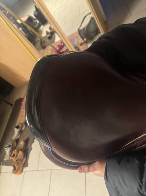 Sella da salto ostacoli CWD  16.5" - 2021