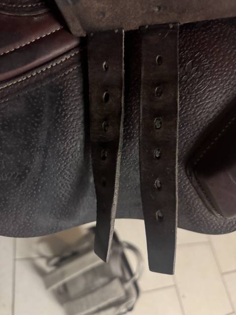 Sella da salto ostacoli CWD  16.5" - 2021