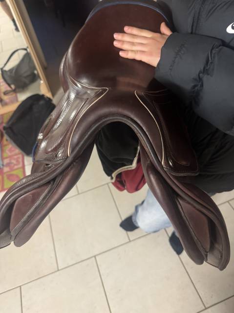 Sella da salto ostacoli CWD  16.5" - 2021