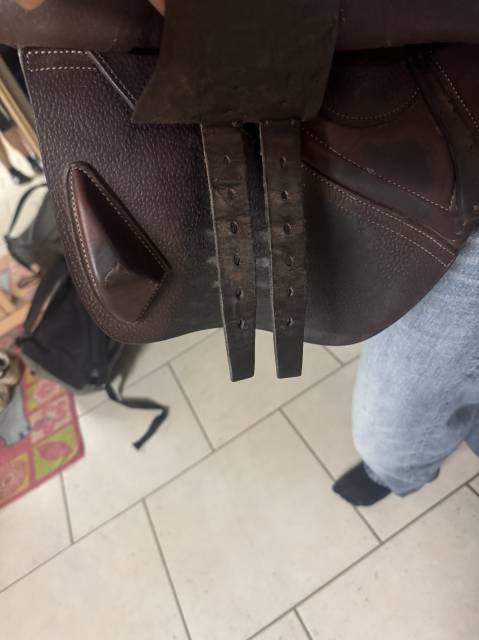 Sella da salto ostacoli CWD  16.5" - 2021