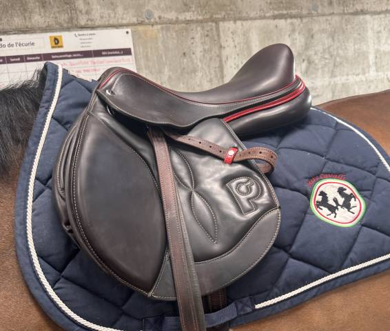 Sella da salto ostacoli Pariani Custom Jump Lady 17" - 2019