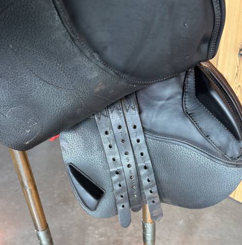 Sella da salto ostacoli Pariani Custom Jump Lady 17" - 2019