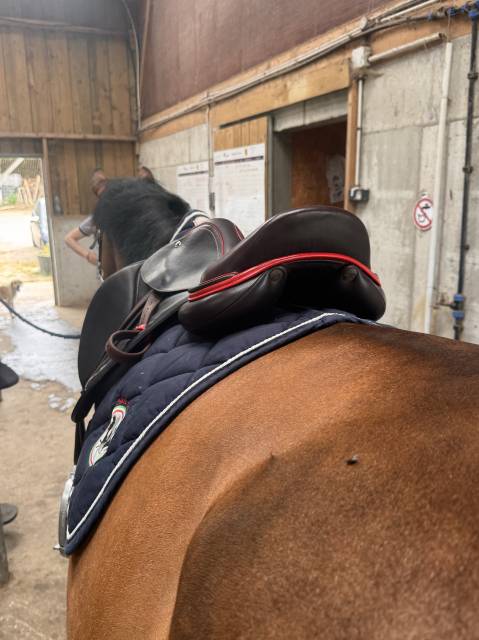 Sella da salto ostacoli Pariani Custom Jump Lady 17" - 2019