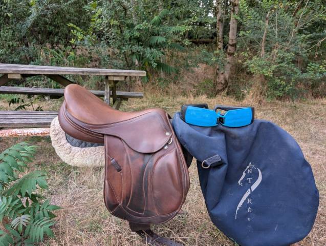 Sella Junior / Sella Pony Antarès  16.5" - 2023