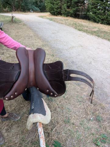 Sella Junior / Sella Pony Antarès  16.5" - 2023