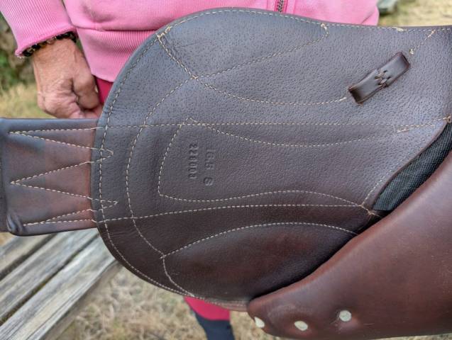 Sella Junior / Sella Pony Antarès  16.5" - 2023