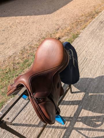 Sella Junior / Sella Pony Antarès  16.5" - 2023