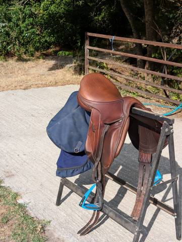 Sella Junior / Sella Pony Antarès  16.5" - 2023