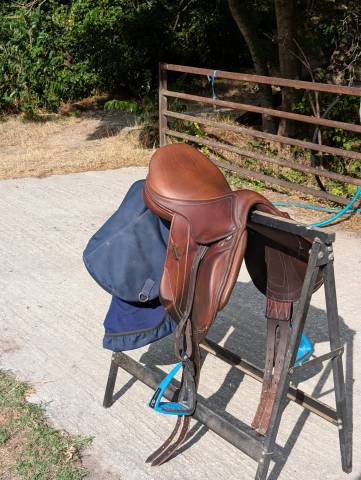 Sella Junior / Sella Pony Antarès  16.5" - 2023