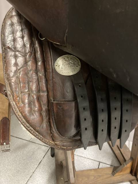 Sella amazzone   17" - 2010