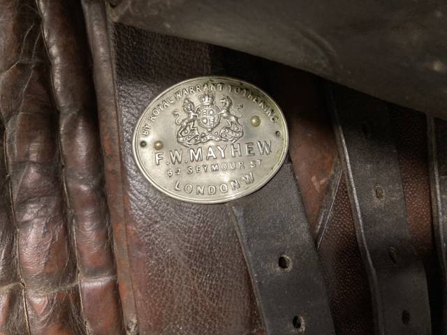 Sella amazzone   17" - 2010