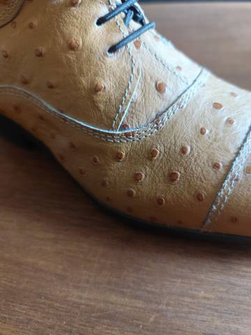  - Altra Marca - Nuovo