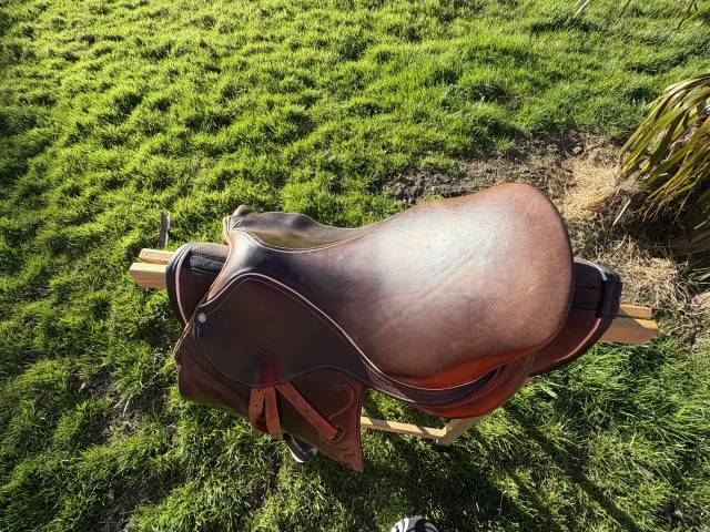 Sella mista Hoffsteiner  17" - 2014