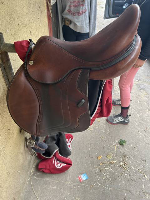 Sella da salto ostacoli CWD  17.5" - 2022