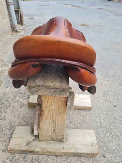 Sella da salto ostacoli Renaissance  18" - 2022