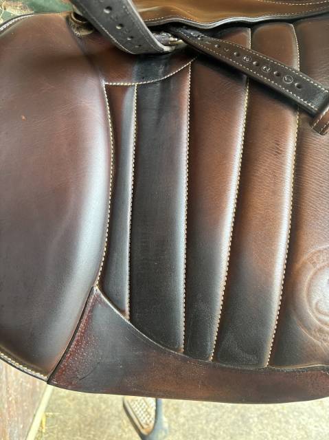 Sella da salto ostacoli Forestier  18" - 2021