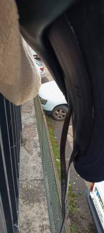 Sella da dressage Childeric  17" - 2019