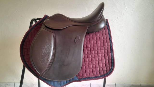 Sella mista Arena WIDE 17" - 2025