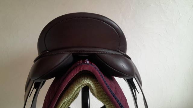 Sella mista Arena WIDE 17" - 2025